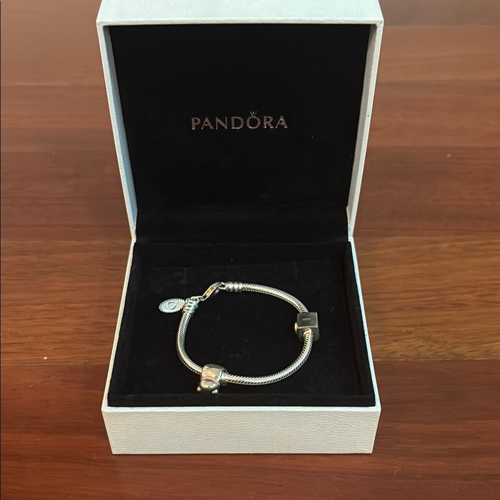 Pandora Silver Charm Bracelet